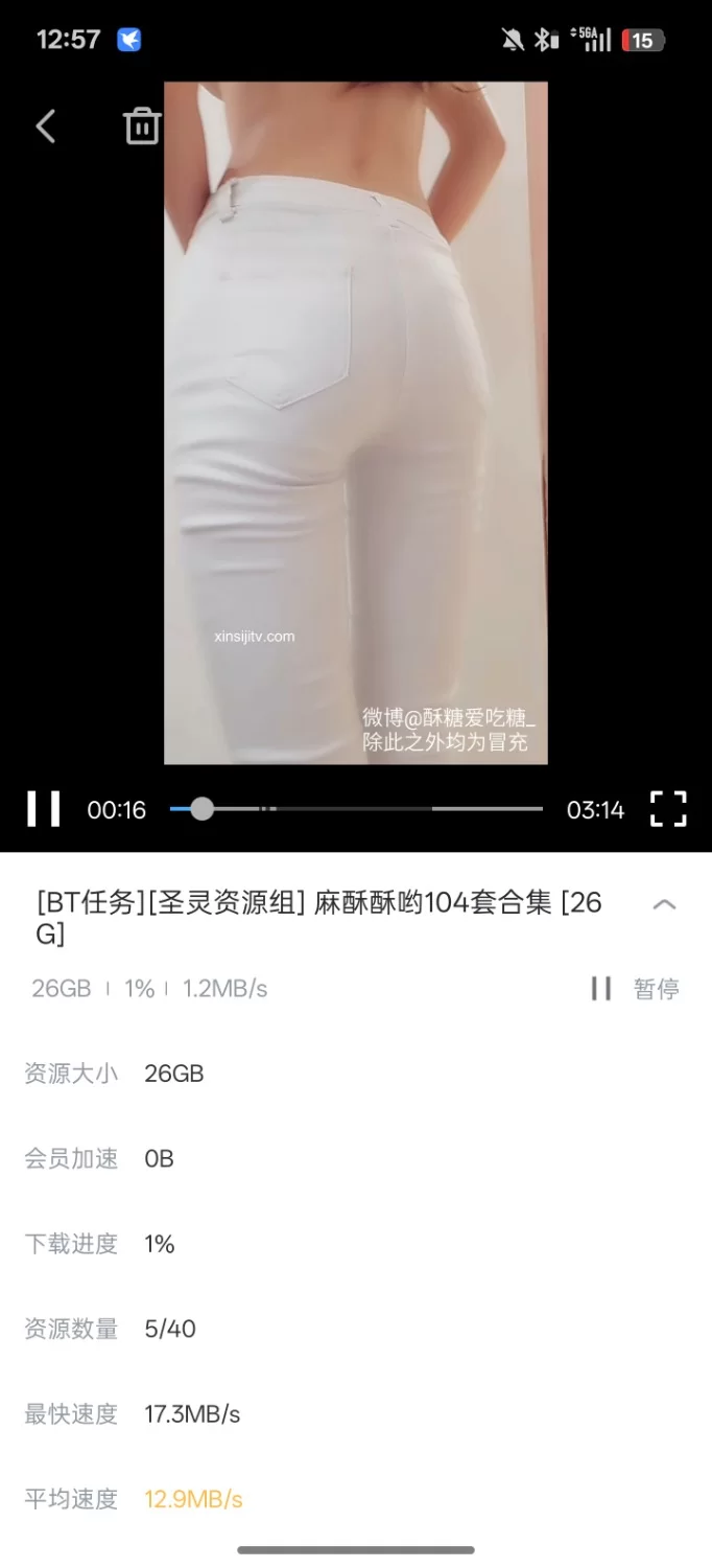 福利姬 麻酥酥哟磁力合集【多v多p+26G】