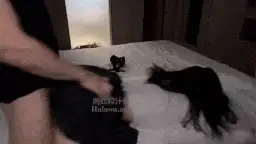 自拍 调教母狗超级敏感体质【1+360m】