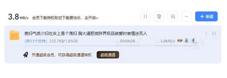 熟女少妇 贵妇气质少妇在床上是个荡妇 胸大逼肥微胖界极品做爱时【1V+1.85G】