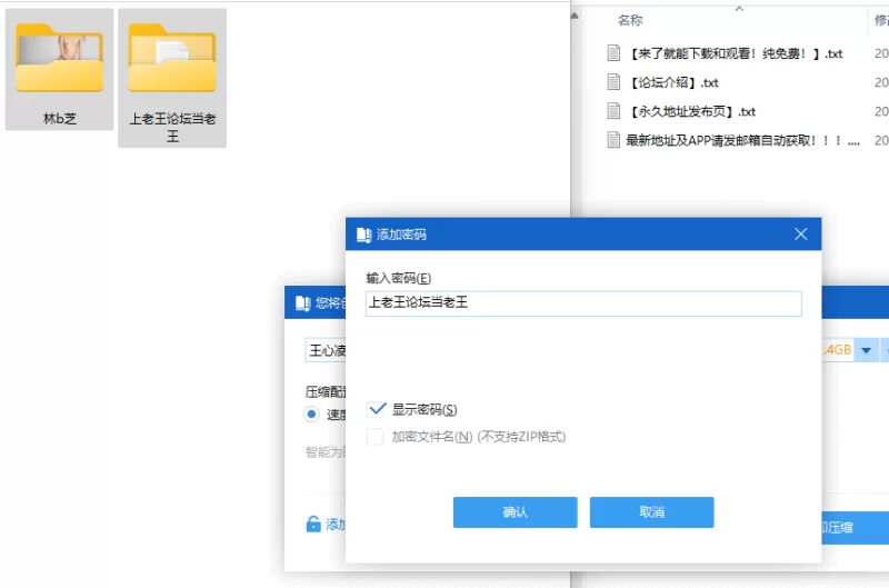 明星换脸 王心凌AI换脸-林柏芝【93p+2G】