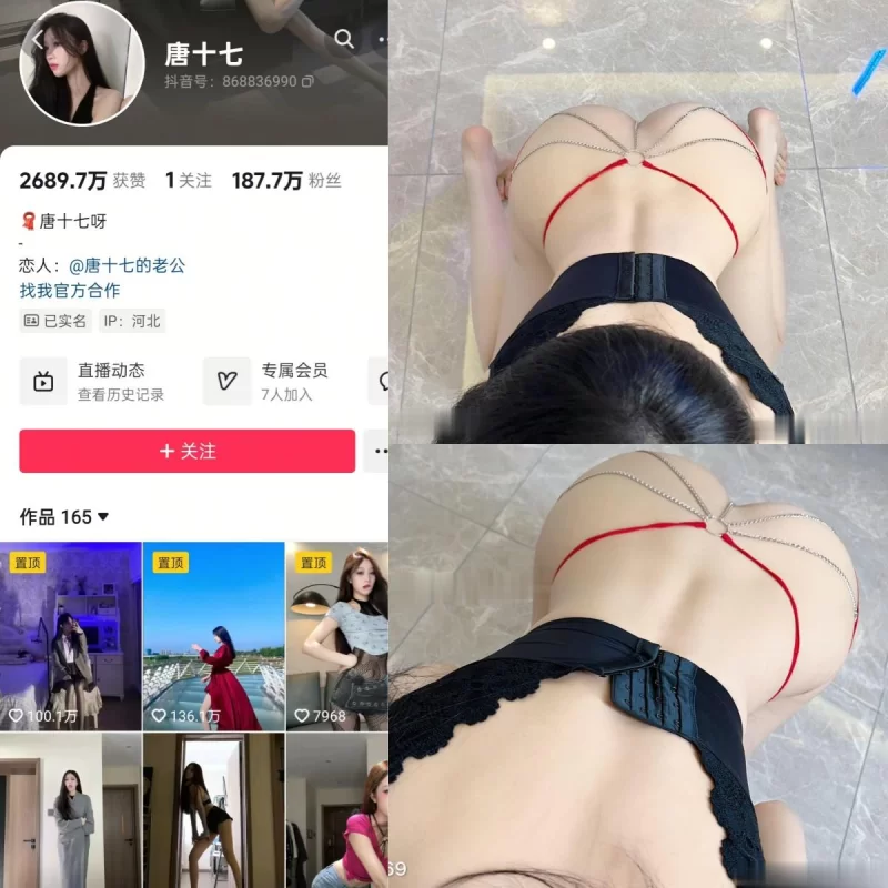 福利姬 抖音[唐十七]50套合集 反差丝袜御姐 秘语/微密合集【NP+NV+730M】