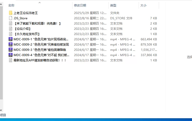 合集 麻豆传媒APP原版视频系列大合集-视频二色色兄弟系列合集【4V+2.7G】