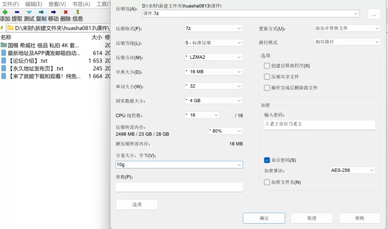 国产模特 希威社 华莎 8K原版无水印大尺度私拍【608p+21g】