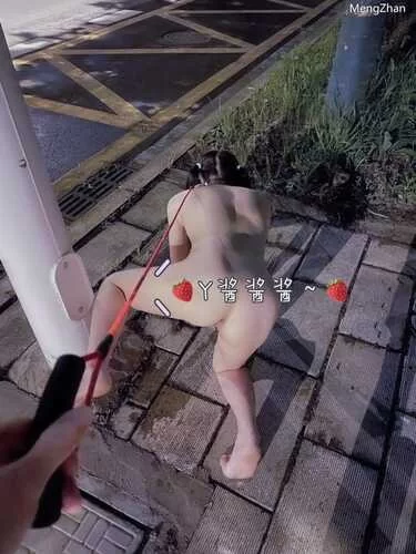 福利姬 [Y酱酱酱]清纯反差萝莉，可爱人形母狗，彻底母犬化，露出喝尿【1+158m】