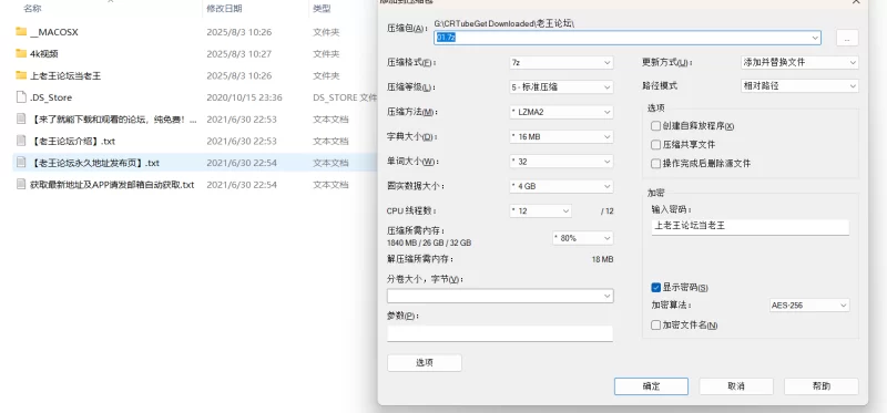 美女御姐 [自行打包]车模现场视频，超清4K视频6v/2.5G百度云+夸克双【6v+2.5G】