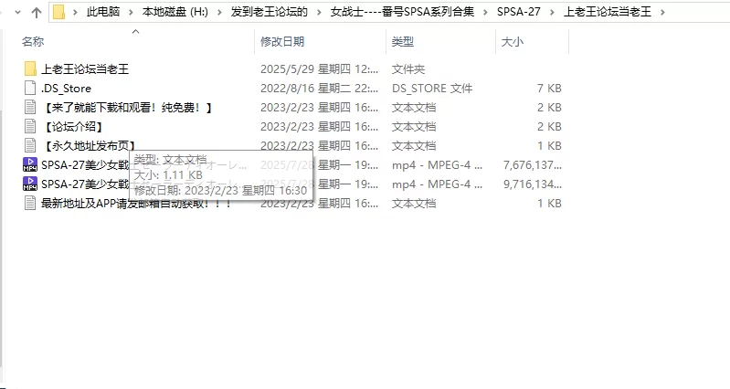 合集 GIGA女战士系列4K超清珍藏版-番号SPSA-27【2V+16G】