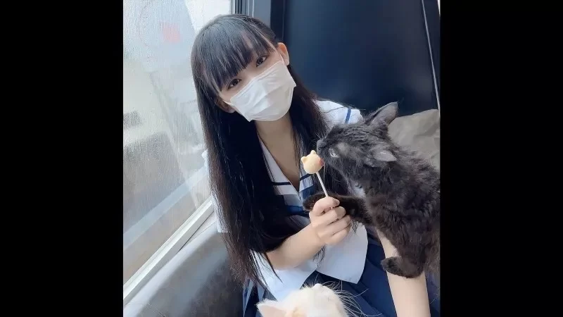 合集 日本無碼合集10部第四十七期 豐滿 美胸 美腿 白皙 素人自【10V+10V】