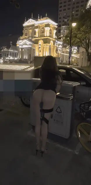 福利姬 顶级美乳九头身御姐阿罗拉合集60V/113P/2.02G【1+630M】