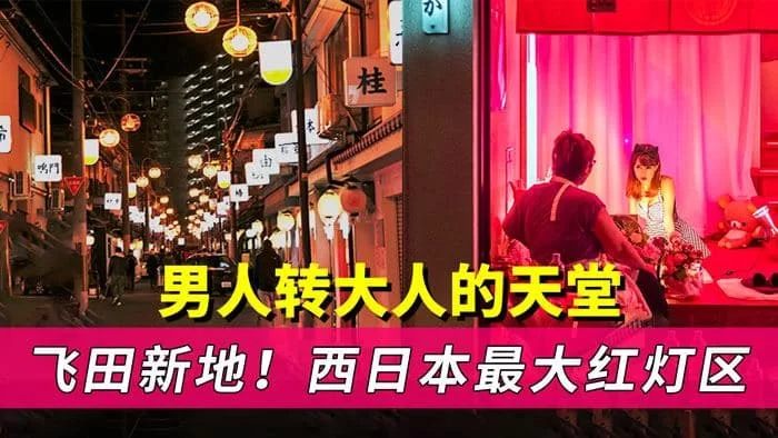 合集 麻豆传媒APP原版视频系列大合集-视频十六好倫系列【19V+10G】