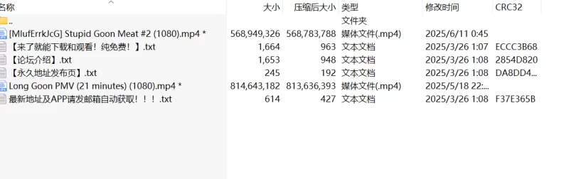 合集 PMV/分屏/自慰混剪【2V+1.29G】