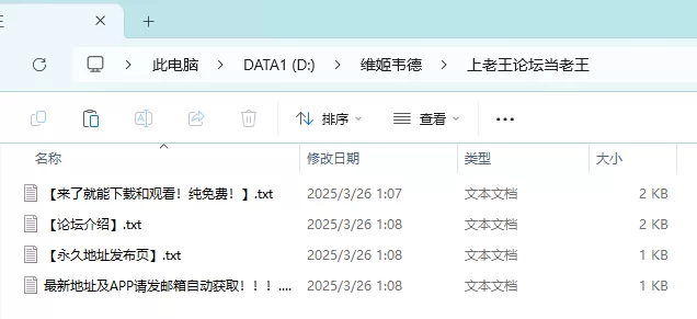 漏点 维姬韦德SexArt写真套图全合集2套【2+1g】