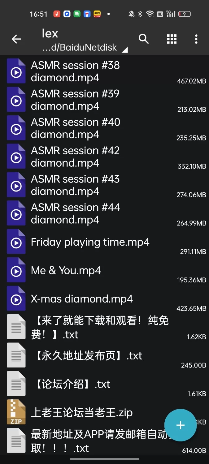 ASMR ASMR lexikin diamond（lexkin）小合集 舔耳 娇喘 欧美【21v+7.88G】