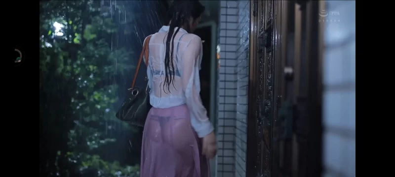 日韩AV 童帝大战麻飞阿姨【1v+4.8g】