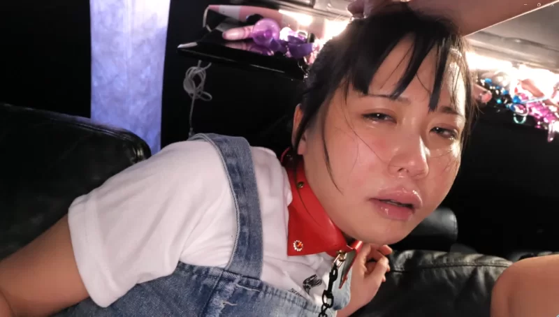 剧情 女优池内遥的新作之肛門開放预览，恥辱性交，奶水满天飞【1v+5g】