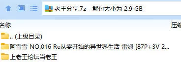 福利姬 阿雪雪 NO.016 Re从零开始的异世界生活 雷姆【87P+3V+2.94G】