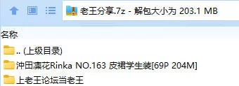 福利姬 沖田凜花Rinka NO.163 皮裙学生装【69P+204M】