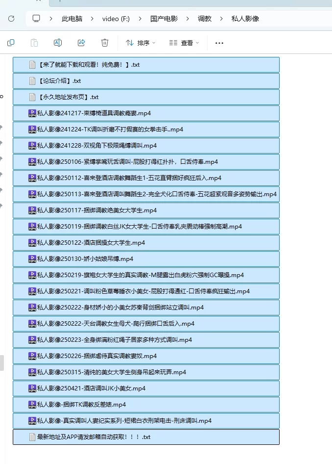 SM 自购 私人.影像无码合集【20V+14.4G】