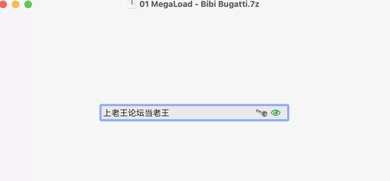 合集 迪拜行走的荷兰炸弹Bibi Bugatti，240万把身材改成射精容器【11V+20G】