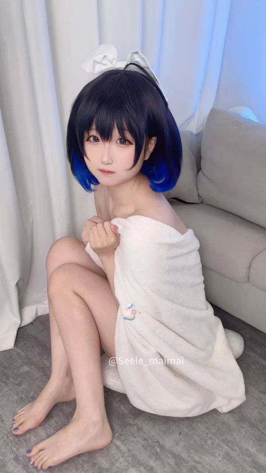 腿控足控 Seele麦麦_麦麦希儿回忆录 [322P]【322P+550m】