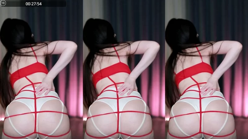 日韩主播 [自录]韩国美女主播BJ 햄찡黑珍近期热舞合集【10v+1.8g】