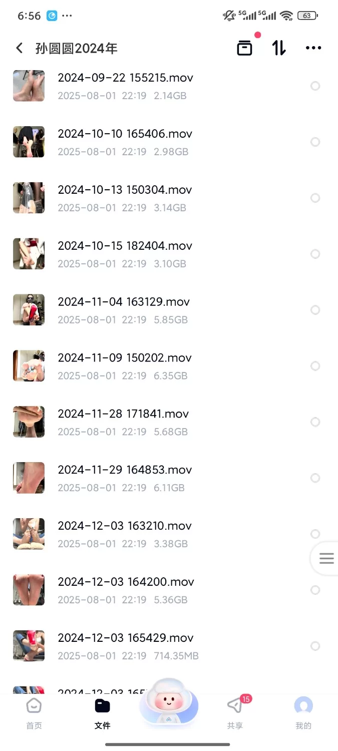 合集 孙园园2024年【91V+100G】