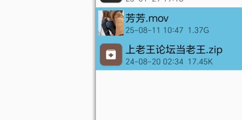 自拍 抖音 我是芳芳 定制视频【1v+1.37G】