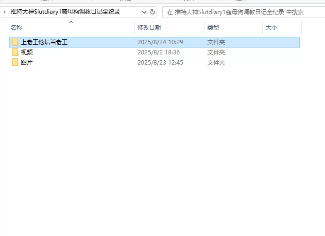 3p&多p 推特大神Slutdiary1骚母狗调教日记全纪录【21v，49p+6.37G】