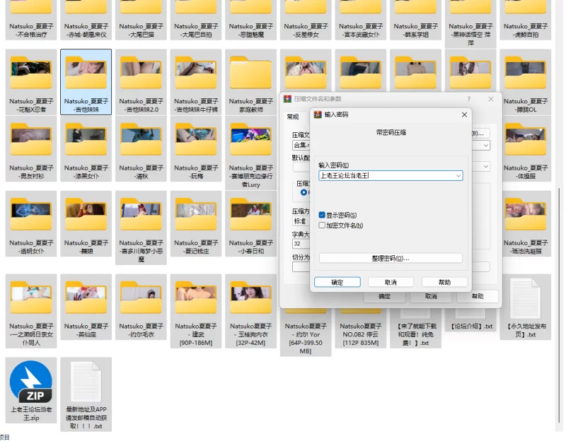 国产coser Natsuko夏夏子 87套 38.8G【87本+38.8G】