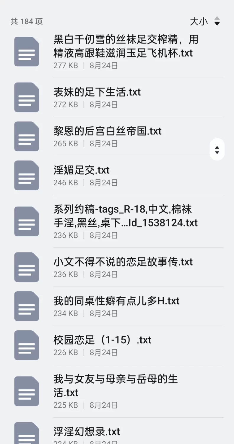 合集 足控类193本【+35M】
