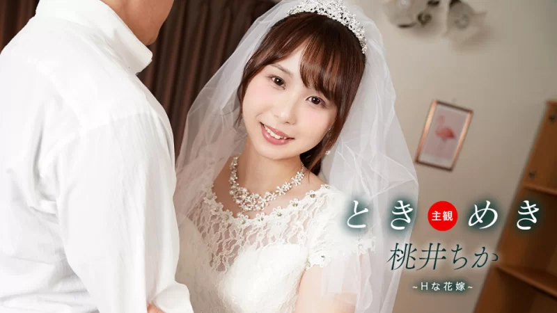 合集 08月03日-精选高清无码二百二十一部合集【221v+467.1G】