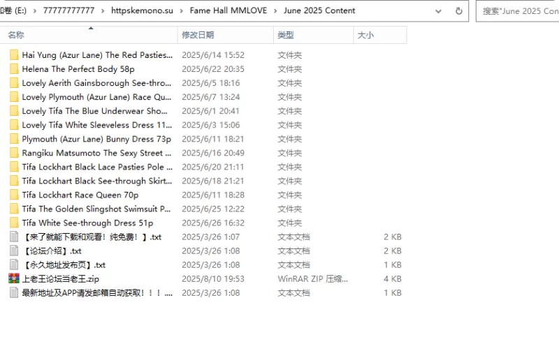 虚拟人 Fame Hall  2025 6月·包【869p+285MB】
