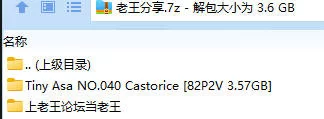 福利姬 Tiny Asa NO.040 Castorice【82P2V+3.57GB】