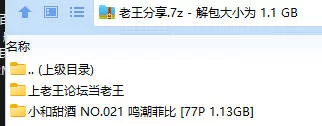 福利姬 小和甜酒 NO.021 鸣潮菲比【77P+1.13GB】