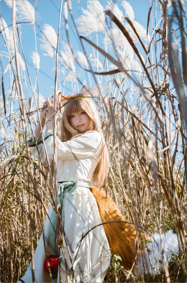 国产coser ElyEE子 – 全套合集216期含随包视频 8.27更新【8330P/211V+27.3G】