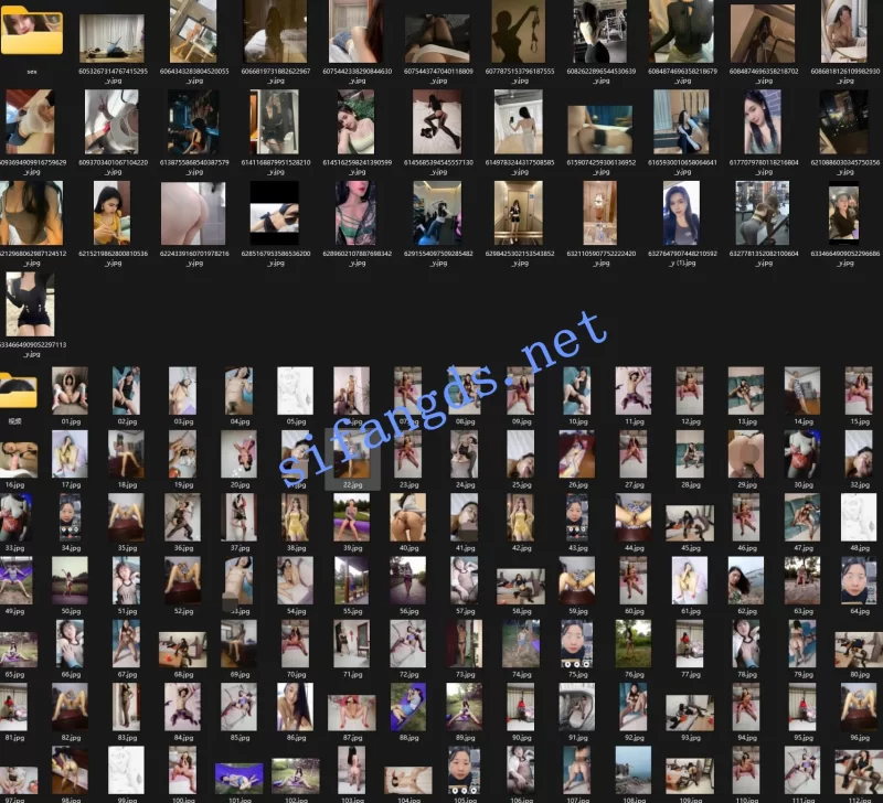 自拍 [精品]独家泄密流出系列108【101V+537P+5.8g】