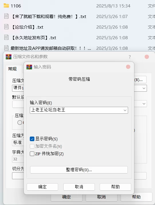 国产模特 well11 - 内购无水印 复古短裙VS无内黑丝 三点全漏【100P+2.27G】