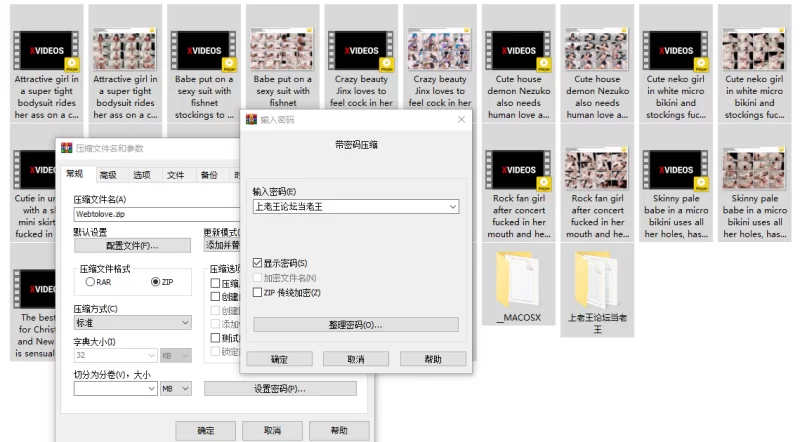 合集 Webtolove自己整理【13v/13p+18.1G】