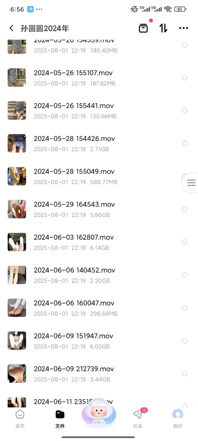 合集 孙园园2024年【91V+100G】