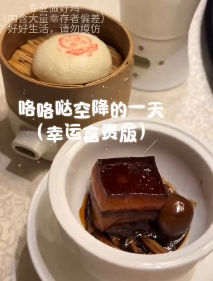 福利姬 做鸡咯咯哒做鸡vlog.全集【1+900M】