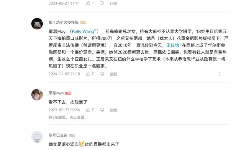 SM 《绝版衣食无忧华裔千金Amelia Wang行为艺术下海 被生猛爆肏蹂躏强颜欢笑！仅此三部【3v+3.5g】