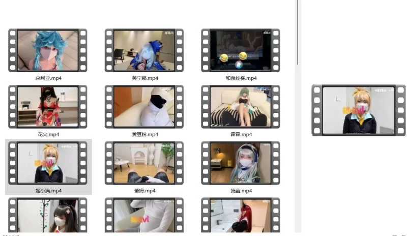 福利姬 小欣奈COS25部合集【视频25+19.68GB】