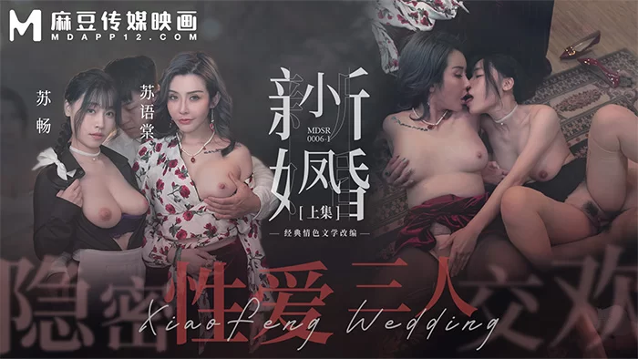合集 麻豆传媒APP原版视频系列大合集-视频一MDSR系列合集【19V+19G】