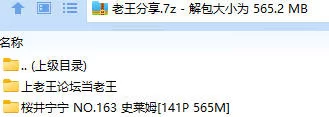 福利姬 桜井宁宁 NO.163 史莱姆【141P+565M】