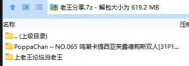 福利姬 PoppaChan NO.065 鸣潮卡提西亚芙露德莉斯双人【31P13V+619M】