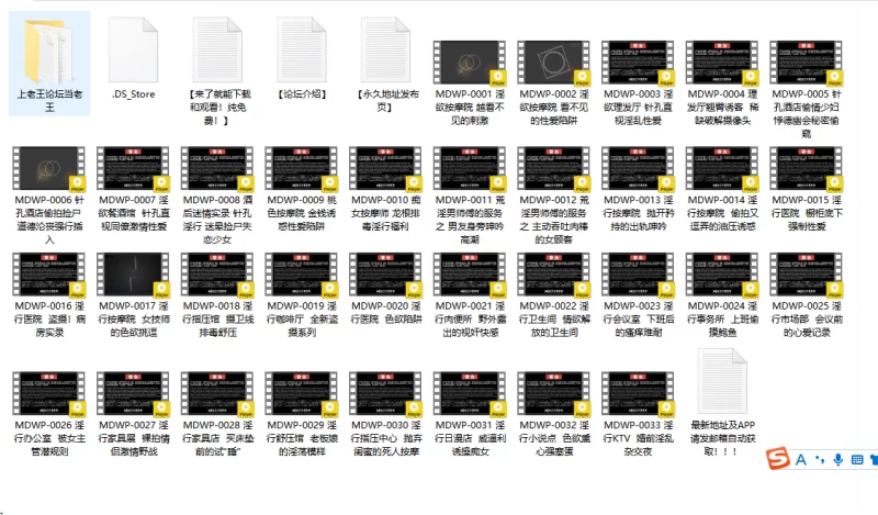 合集 麻豆传媒APP原版视频系列大合集-视频十四各种职业系列【33V+18G】