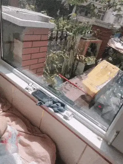 合法萝莉 18岁女孩啊啊爸爸 不要 逼好紧约出来带回小屋子潇洒二人【2+737MB】