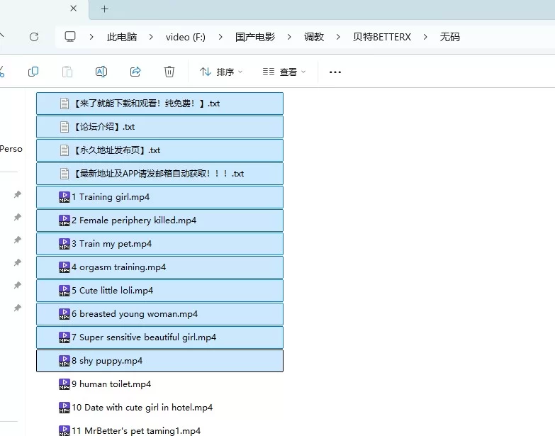SM 贝特无码调教合集【8V+13.6G】