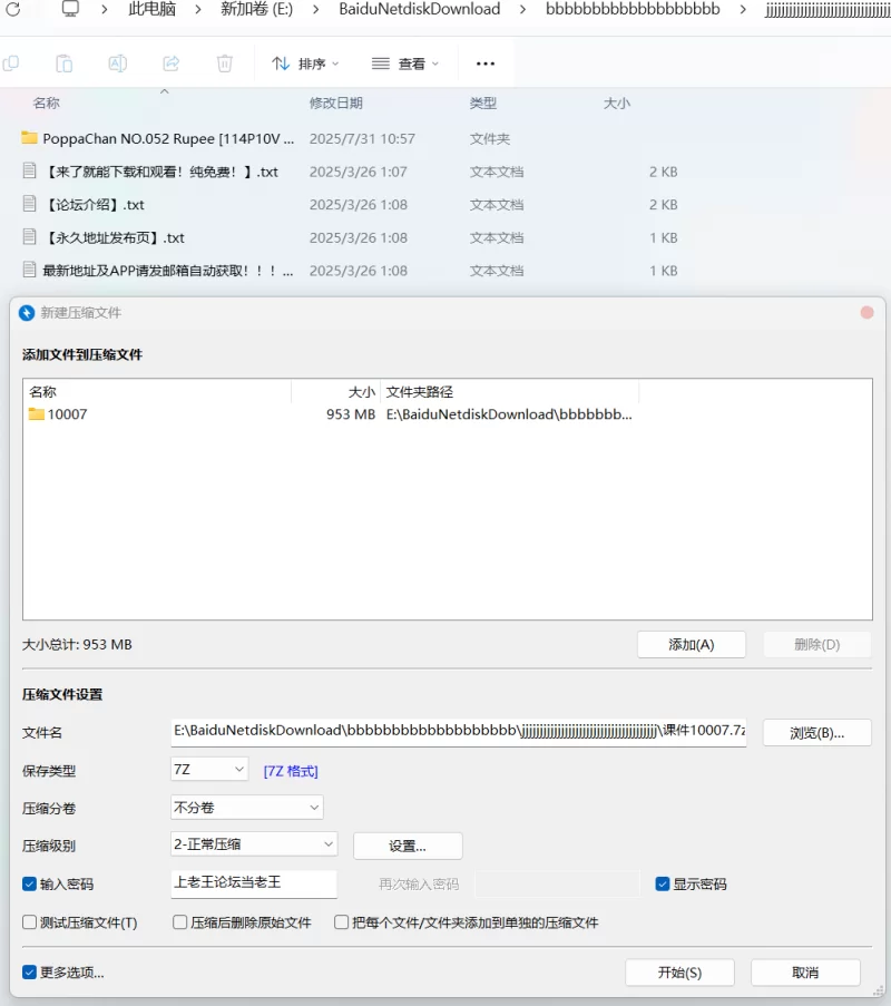 其他coser PoppaChan 新作 - Rupee [114P10V 953MB]【np+953M】
