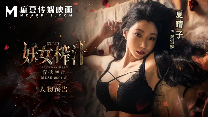 合集 麻豆传媒APP原版视频系列大合集-视频一MDSR系列合集【19V+19G】