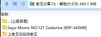 福利姬 Sayo Momo NO.121 Castorice【90P+343MB】